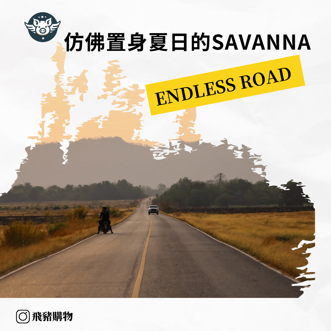 彷彿在夏日的Savannah——endless road campground