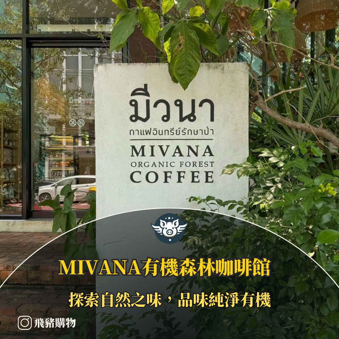 迷霧森林—— MiVana有機森林咖啡館