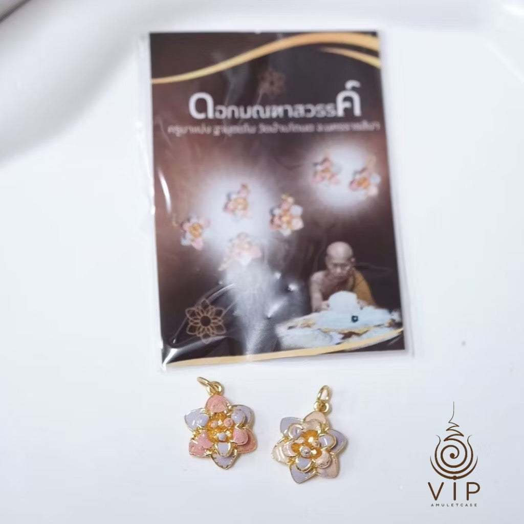 🌟 天堂曼陀花  －古巴丙